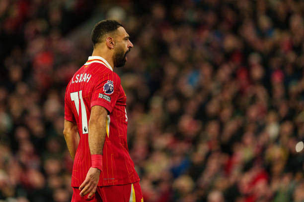 续为他提供 续为他提供